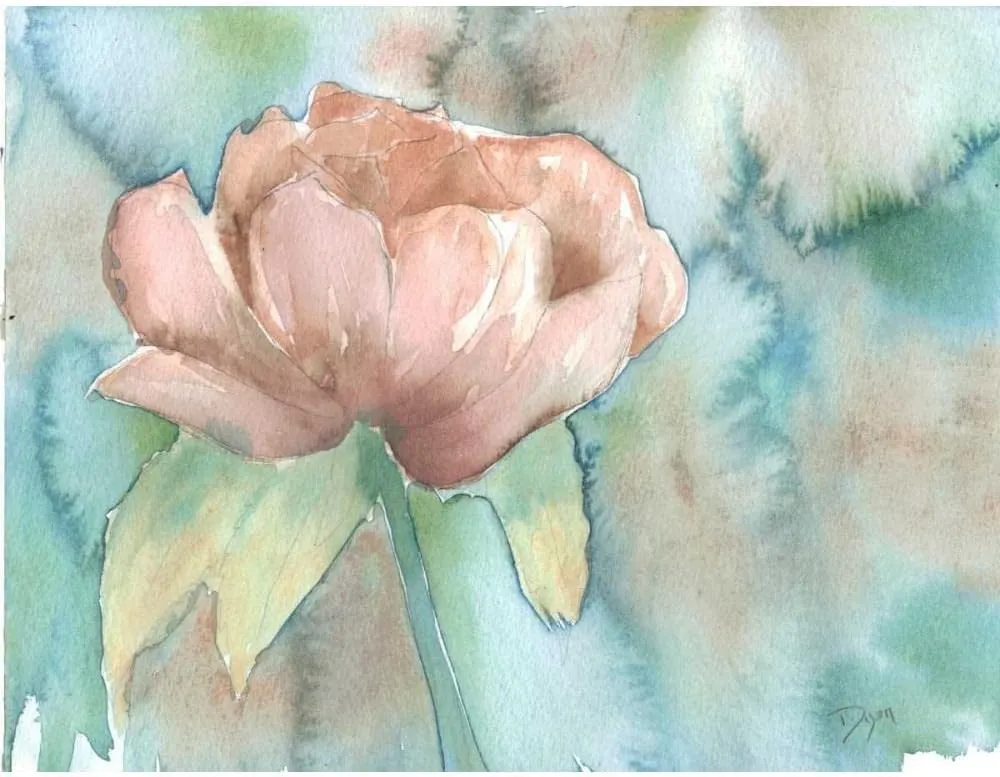 ArtDirect Blush Rose 14x11 UnFramed Art Print Poster Ready for Framing by Dyer, Beverly