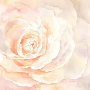 ArtDirect Blush Rose Closeup I 11x11 UnFramed Art Print Poster Ready for Framing by Coulter, Cynthia