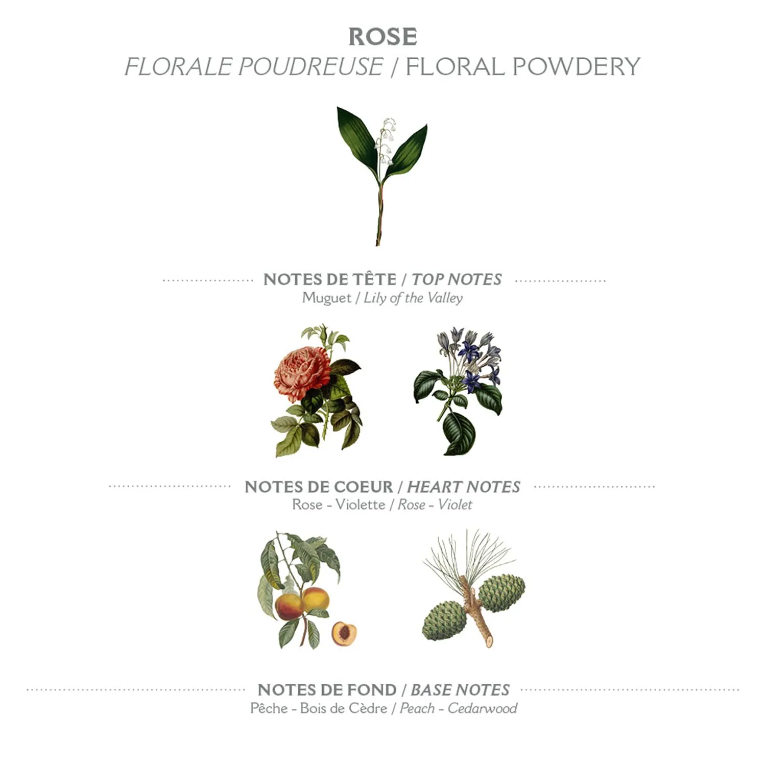 Panier des Sens – Rose Hand & Body Lotion for Dry Skin - Hydrating Body Cream for Women - Nourishing Fluid Body Moisturizer Shea Butter & Olive Oil - 97% Natural Ingredients Body Care - 8.45 Floz