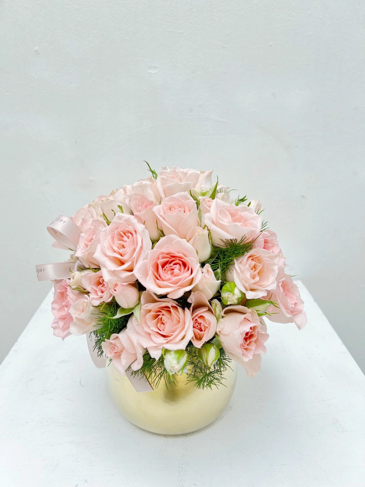 Petite in Blush