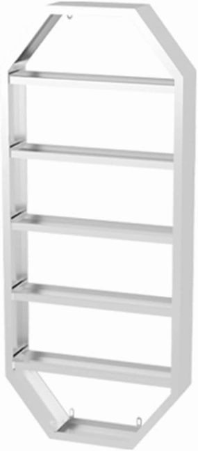 Wall Mounted Nail Polish Glue Organizer Rack, 5 Tiers Lipstick Perfume Essential Oil Display Stand for Home Spa Nail Shop Storage，Silver 60x7x72cm