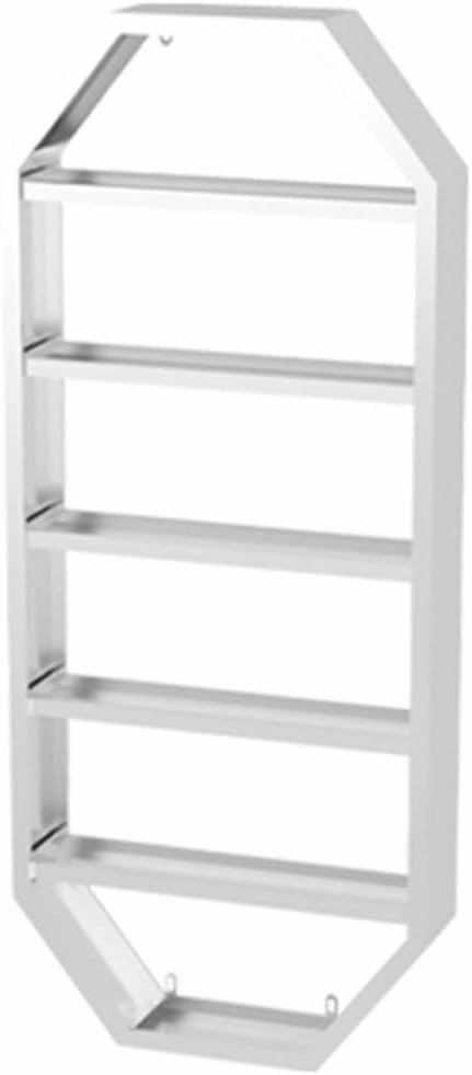 Wall Mounted Nail Polish Glue Organizer Rack, 5 Tiers Lipstick Perfume Essential Oil Display Stand for Home Spa Nail Shop Storage，Silver 60x7x72cm