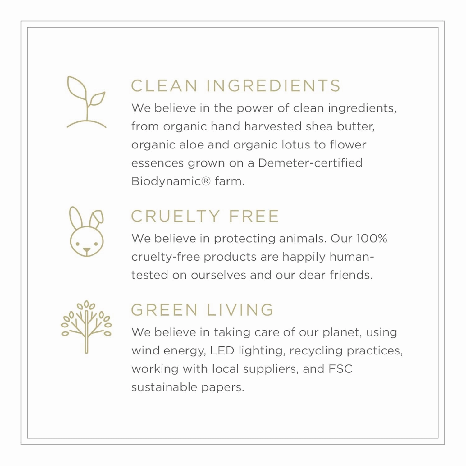 Zents Hand & Body Wash (Petal Fragrance) | Hydrating Anti-Aging Cleanser with Organic Shea Butter & Aloe for Dry Skin | Gentle & Nourishing | 10 fl oz